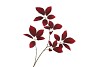 SILK LEAF ELDER DARK RED 81CM NM