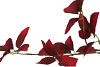 SILK LEAF ELDER DARK RED 81CM NM