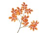 SILK LEAF ROWAN ORANGE 71CM NM