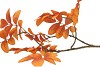 SILK LEAF ROWAN ORANGE 71CM NM