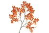 SILK LEAF ROWAN ORANGE 125CM NM
