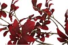 SILK LEAF ROWAN DARK RED 125CM NM