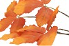 SILK LEAF CHESTNUT ORANGE 79CM NM