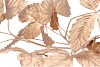 SILK LEAF CHESTNUT GOLD 135CM NM