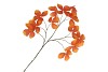 SILK LEAF CHESTNUT ORANGE 135CM NM