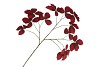 SILK LEAF CHESTNUT DARK RED 135CM NM