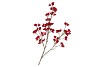 SILK BERRY SPICE FIERY RED 108CM
