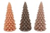CANDLE FROSTY X-MAS TREE WOODS BROWN MIX 9X20CM ASS