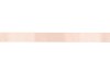 RIBBON SATIN 54 SALOM 100MX40MM P/1 NM