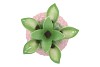 PINEAPPLE TROPICAL PINK VASE 23X23X33CM NM