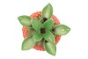 PINEAPPLE TROPICAL ORANGE VASE 23X23X33CM NM