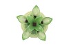 PINEAPPLE TROPICAL LIME VASE 18X18X28CM NM