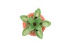 PINEAPPLE TROPICAL ORANGE VASE 16X16X22CM NM