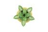 PINEAPPLE TROPICAL YELLOW VASE 14X14X18CM NM