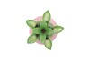 PINEAPPLE TROPICAL PINK VASE 14X14X18CM NM