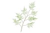 SILK FERN ASPARAGUS LIGHT GREEN 138CM NM