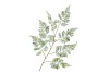 SILK FERN FOREST GREEN 138CM NM