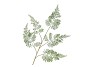 SILK FERN FOREST GREEN 107CM NM