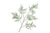 SILK FERN ASPARAGUS DARK GREEN 107CM NM