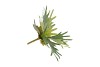 SILK FERN STAGHORN GREEN 36CM