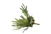 SILK FERN STAGHORN GREEN 36CM