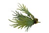 SILK FERN STAGHORN GREEN 51CM