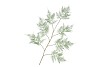 SILK FERN ASPARAGUS DARK GREEN 138CM NM