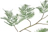 SILK FERN ASPARAGUS DARK GREEN 138CM NM