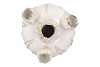 MARA WHITE VASE BOL TULIP 27X27X31CM NM