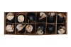 EGG CHICKEN OPEN WITH ROPE BLACK PER 12