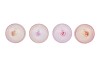 BICOLORE DREAMY PASTEL MIX JARS ASS 11X17CM NM