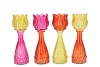BICOLORE DUTCH ORANGE MIX TULIP VASE ASS 7X22CM NM