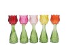 BICOLORE MULTI COLOR MIX TULIP VASE ASS 7X22CM NM