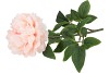 SILK PEONY SOFT PINK 68CM NM