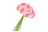 SILK RANUNCULUS BOUQUET 10X DARK PINK 32CM NM