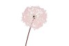 SILK DANDELION PINK 91CM NM