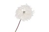 SILK DANDELION WHITE 91CM NM