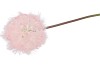 SILK DANDELION PINK 65CM NM
