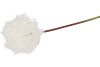 SILK DANDELION WHITE 65CM NM