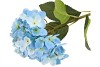 SILK HYDRANGEA BLUE 23X64CM NM