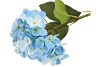 SILK HYDRANGEA BLUE 14X45CM NM