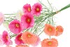 SILK POPPY BOUQUET PASTEL 60CM