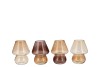 BICOLORE NATURAL BROWN MIX MUSHROOM ASS 12X15CM