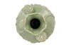 MARA PISTACHE VASE NECK LOTUS 21X21X25CM NM