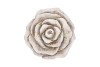 CONCRETE SAINT ANTIQUE ROSE 13X13X13CM