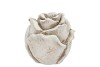 CONCRETE SAINT ANTIQUE ROSE 11X11X11CM