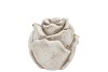 CONCRETE SAINT ANTIQUE ROSE 9X9X8CM NM