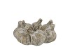 CONCRETE GARLIC WREATH NATURAL 20X20X9CM NM