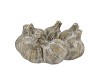 CONCRETE GARLIC WREATH NATURAL 22X22X10CM NM