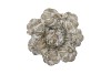 CONCRETE GARLIC WREATH NATURAL 22X22X10CM NM